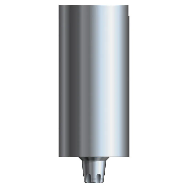 Inclusive® Titanium Abutment Blank compatible with: MIS® C1 SP