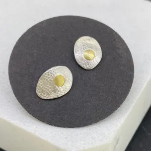 Silver & Gold Earrings